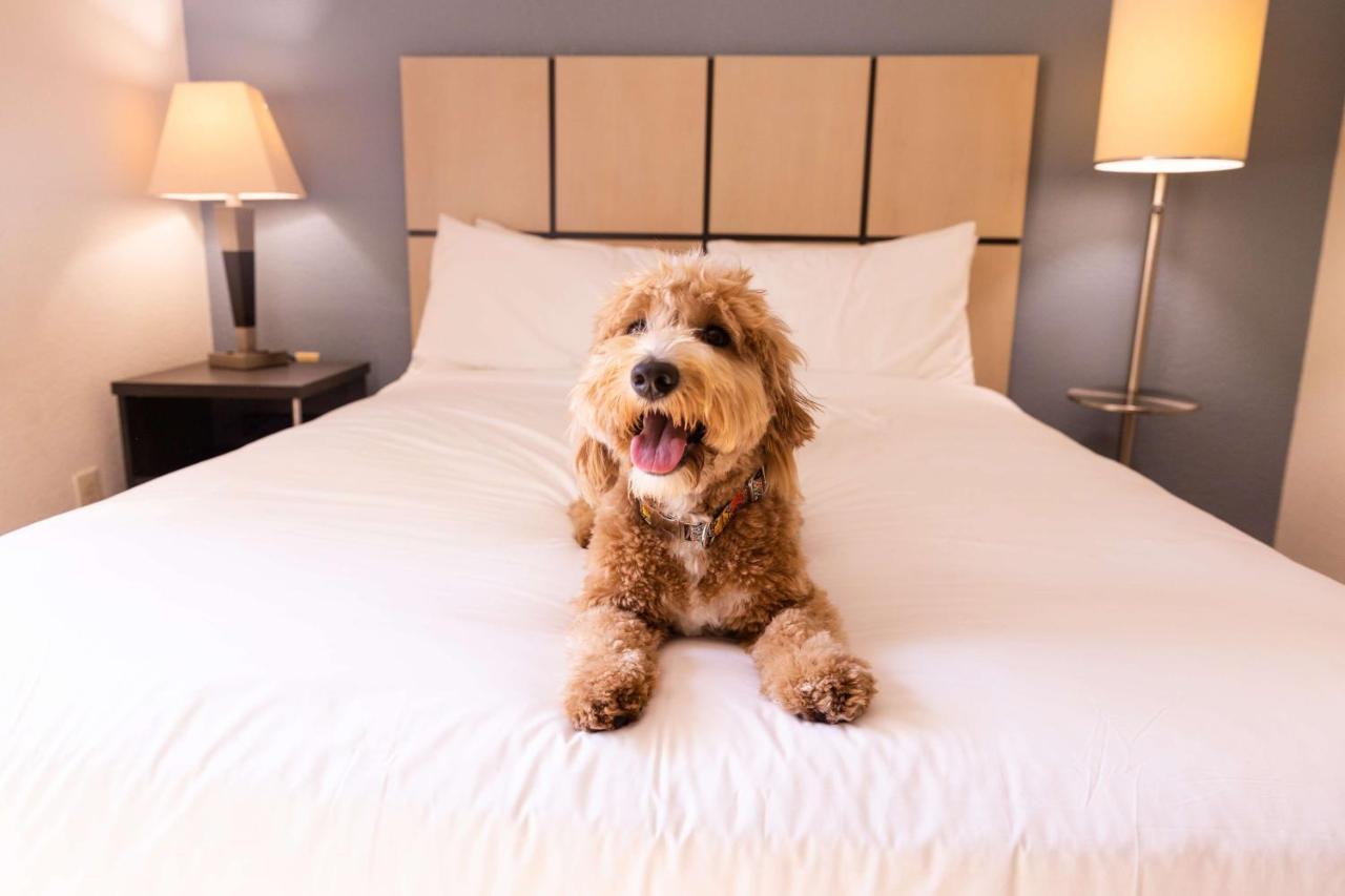 Sonesta Simply Suites Boston Braintree Bagian luar foto